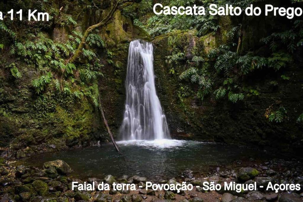 Villa The Spot - Ilha De Sao Miguel Povoacao  Esterno foto